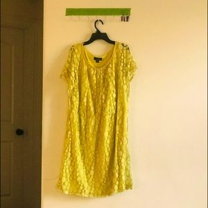 AGB women mini laced sheer polkadot yellow dress